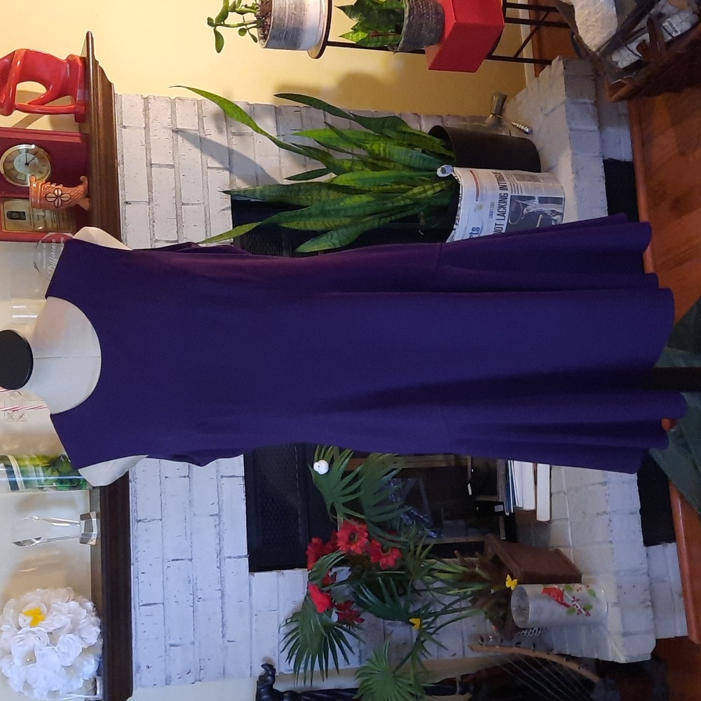 Anne Klein Mid Length Purple Dress size 12